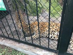 -大连森林动物园