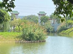 -王借岗森林公园