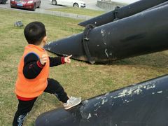 -南汇嘴观海公园