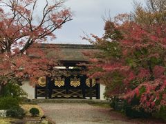 -醍醐寺