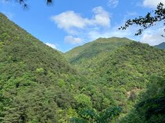 -大奇山国家森林公园