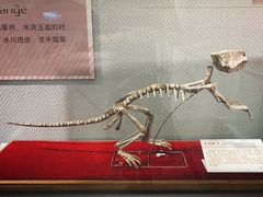 -中国第四纪冰川遗迹陈列馆