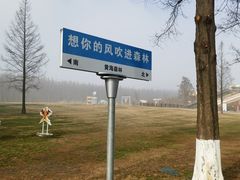 -黄海国家森林公园