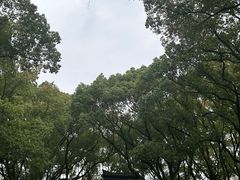 -天一阁博物院