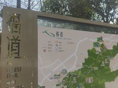 -福道