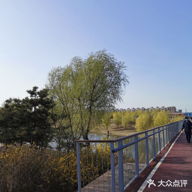 《城市公园》