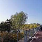 《城市公园》