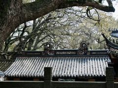 -普陀山风景名胜区-法雨禅寺