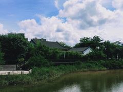 -大亚湾红树林城市湿地公园