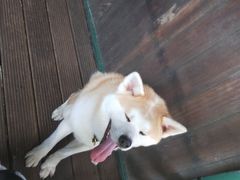 -太极禅苑