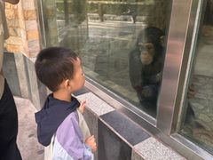 -成都动物园