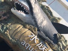 -秦皇岛乐岛海洋王国