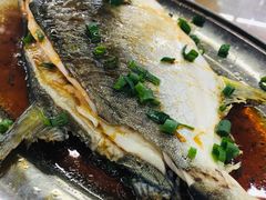 -明记海鲜大排档(巽寮湾店)