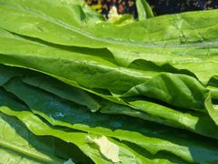 -洞庭洲·防空洞火锅·铜锅涮肉·烧烤(新百广场店)