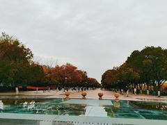 -汉口江滩-五福广场