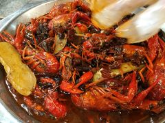 -大孩龙虾(体育场旗舰店)