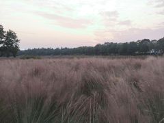 -艾溪湖湿地公园