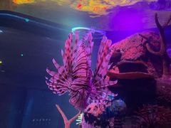 -沈阳海洋探索中心