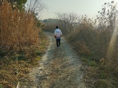 -杏花村文化旅游区