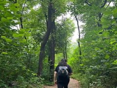 -阳台山自然风景区