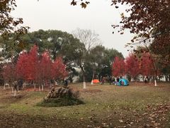 -东湖落雁景区