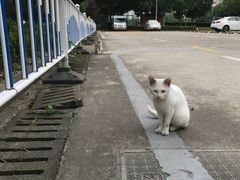场地-源深体育中心-停车场