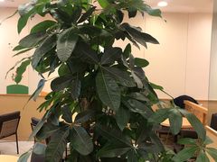 -德克士(宽甸店)