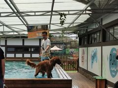 -太阳岛度假酒店