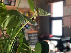 -B.O.M波姆烘焙(凤凰街店)