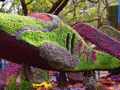 -杭州植物园