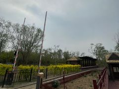 -西青郊野公园