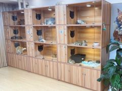 -猫十亿·布偶金渐层·曼基康矮脚猫舍(青年路店)