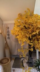 -可樱汇·美容洗发SPA