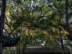 -秋霞圃