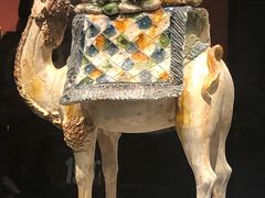 -陕西自然博物馆