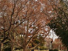 -北京动物园-畅观楼