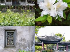 -惠山古镇·寄畅园