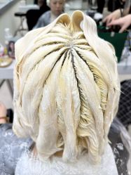 -GANO HAIR 