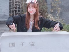 -北京国子监胡同