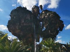 -奥兰多迪士尼动物王国乐园