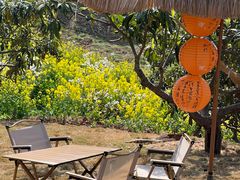 -桃源山庄·水蜜桃采摘·柴火鸡·烧烤团建(龙泉山店)