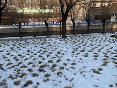 -元大都城垣遗址公园