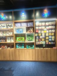 -飞览天下沉浸式飞行体验(北京旗舰店)