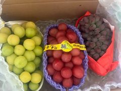 -马陆小张葡萄园农家乐