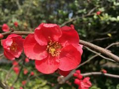 -御花园·粤菜·海鲜火锅(中山公园店)