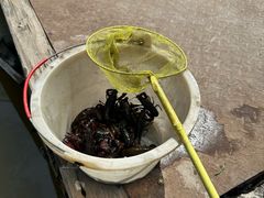 -同銮特种养殖场·龙虾垂钓