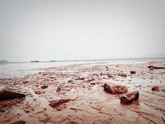 -北岐滩涂