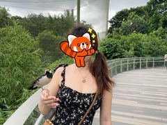 -新加坡飞禽公园