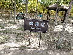 -西青郊野公园