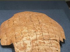 -盘龙城国家考古遗址公园